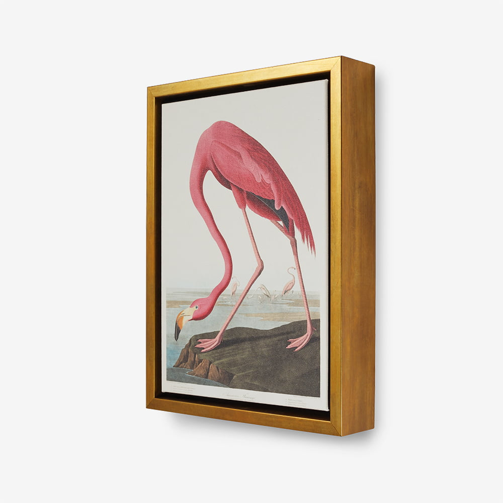 Framed Canvas Print: "Approaching"