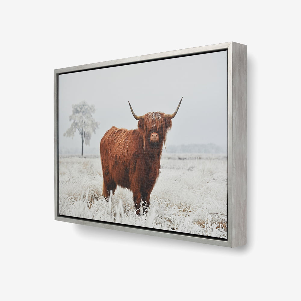 Framed Canvas Print: "Approaching"