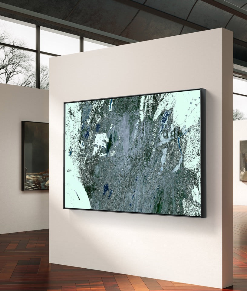 Framed Canvas Print: "Lichen"