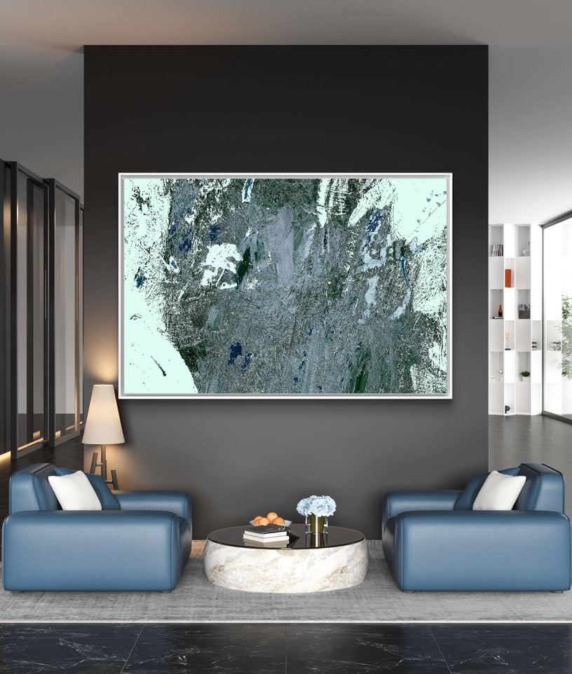 Framed Canvas Print: "Lichen"